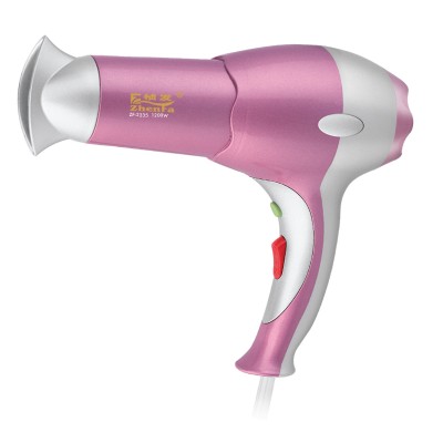 Professional Ionic One Step Hair Dryer